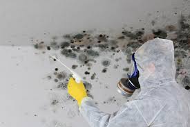 Best Crawl Space Mold Remediation  in Morgandale, OH